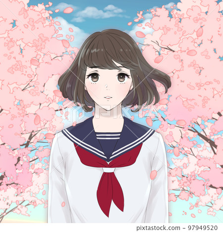 站在一排櫻花樹前的女學生插畫 水手服(白) 站在一排櫻花樹前的女學生插畫 水手服(白) 97949520
