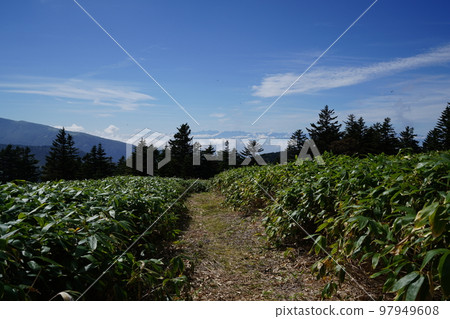 Gunma Prefectural Boundary Ridge Trail A mountain trail near the summit of Mt. Donabe and a view of Mt. Urakura September 26, 2022 Gunma Prefectural Boundary Ridge Trail A mountain trail near the summit of Mt. Donabe and a view of Mt. Urakura September 26, 2022 97949608