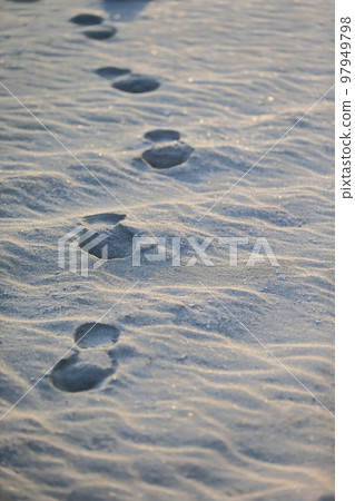 Image of footprints left on the sandy beach Image of footprints left on the sandy beach 97949798