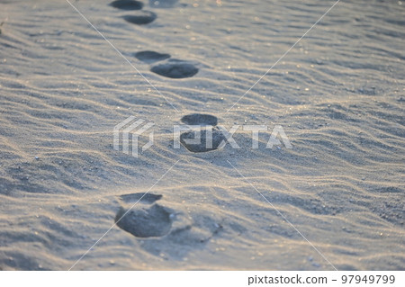 Image of footprints left on the sandy beach 97949799