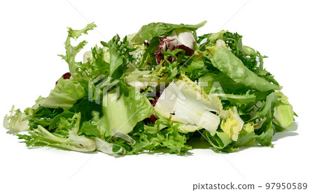 Mix of lettuce leaves escariole, frisee, radicchio, arugula on a white isolated background, dietary healthy food. 97950589
