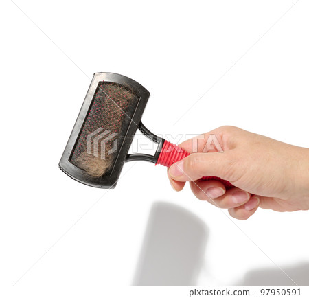 A woman's hand holds a brush for combing animal hair on a white background 97950591