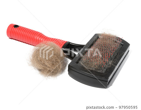 Plastic brush and combing out wool in animals and a tuft of gray cat hair on a white background 97950595