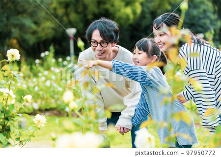 family playing together in the park family playing together in the park 97950772