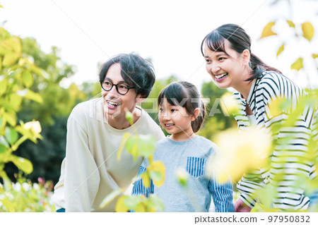 一家人一起在公園玩耍 97950832