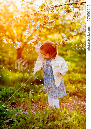 a little girl in a blue dress in a spring garden a little girl in a blue dress in a spring garden 97950941