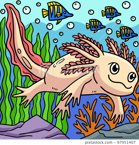 Axolotl Marine Animal Colored Cartoon Illustration Axolotl Marine Animal Colored Cartoon Illustration 97951407
