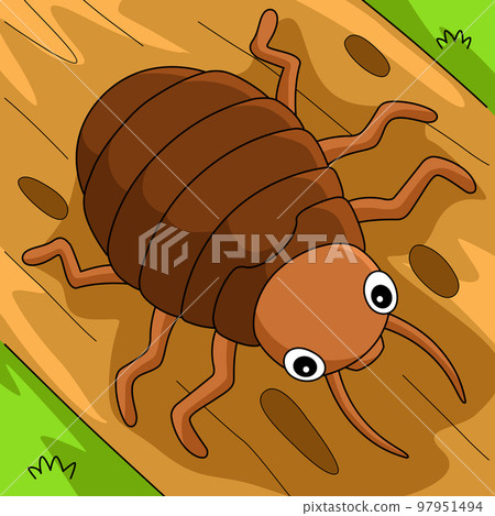 Bedbug Animal Colored Cartoon Illustration Bedbug Animal Colored Cartoon Illustration 97951494