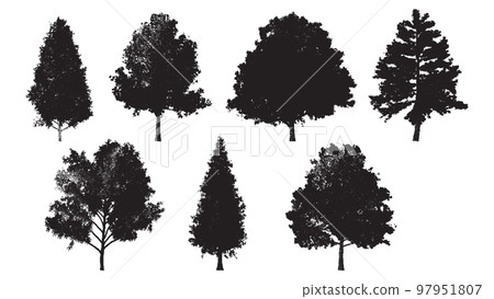 Set of tree silhouettes in dotwork style. For the forest or park background. Cedar, oak, robinia, maple black silhouettes. 97951807