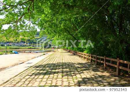 Mulli-ri, fishery, coastal forest, village forest, forest, walking trail, healing, rest, park, 97952343