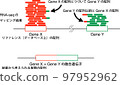 RNA-seq融合基因分析 97952962