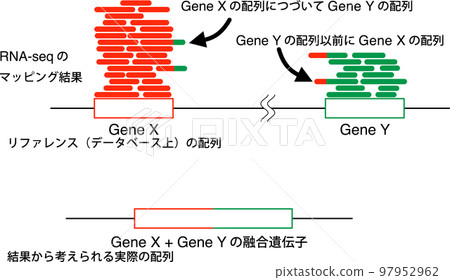 RNA-seq融合基因分析 RNA-seq融合基因分析 97952962