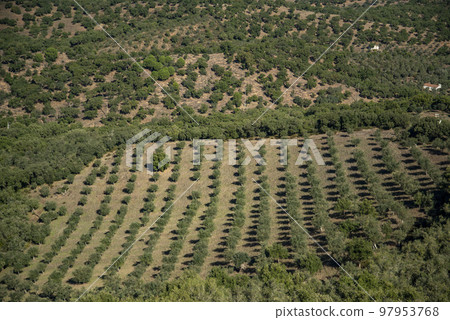 PORTUGAL ALENTEJO EVORAMONTE 97953768