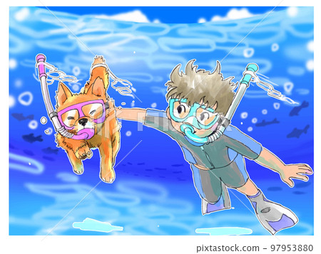 柴犬、男孩和海上浮潛 柴犬、男孩和海上浮潛 97953880