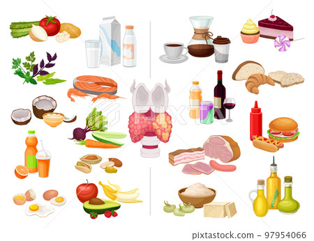 Thyroid Good and Bad Food and Nutrition Big Vector Set Thyroid Good and Bad Food and Nutrition Big Vector Set 97954066