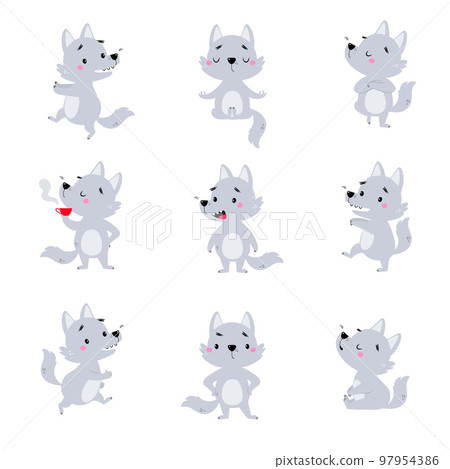 Cute Little Wolf Cub with Grey Coat Engaged in Different Activity Vector Set 97954386