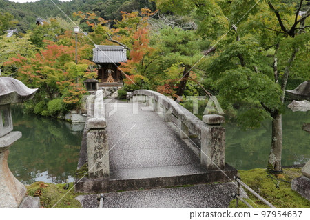 Eikan-do with maple trees starting to turn faint colors 97954637