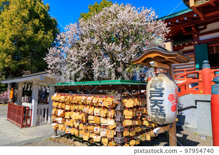 Kameido Tenjin Shrine Plum Festival in Koto Ward, Tokyo Kameido Tenjin Shrine Plum Festival in Koto Ward, Tokyo 97954740