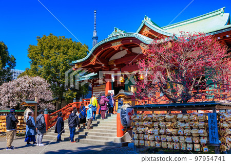 Kameido Tenjin Shrine Plum Festival in Koto Ward, Tokyo Kameido Tenjin Shrine Plum Festival in Koto Ward, Tokyo 97954741