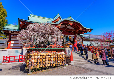 東京都江東區龜戶天神社梅花節 東京都江東區龜戶天神社梅花節 97954744