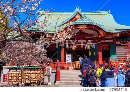 Kameido Tenjin Shrine Plum Festival in Koto Ward, Tokyo 97954746