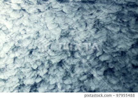 Autumn sky, sardine cloud (saba cloud, sardine cloud) shape vertical position image. Autumn sky, sardine cloud (saba cloud, sardine cloud) shape vertical position image. 97955488