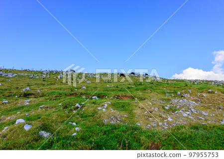 Open scenery in Shikoku Karst 97955753
