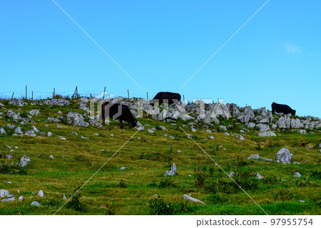Open scenery in Shikoku Karst 97955754
