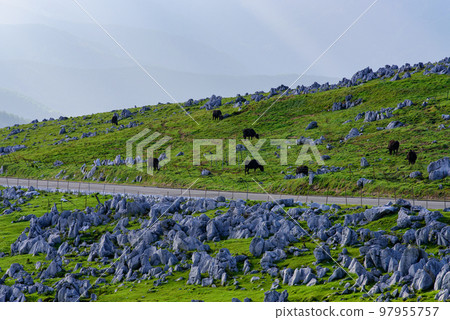 Open scenery in Shikoku Karst 97955757