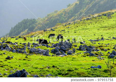 Open scenery in Shikoku Karst Open scenery in Shikoku Karst 97955758