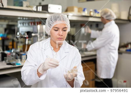 Portrait of young woman lab technician working Portrait of young woman lab technician working 97956491