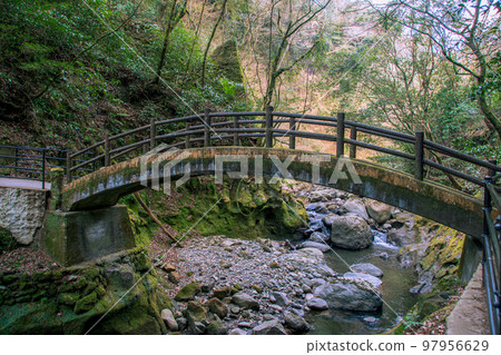橫跨天野岩戶神社的橋 97956629