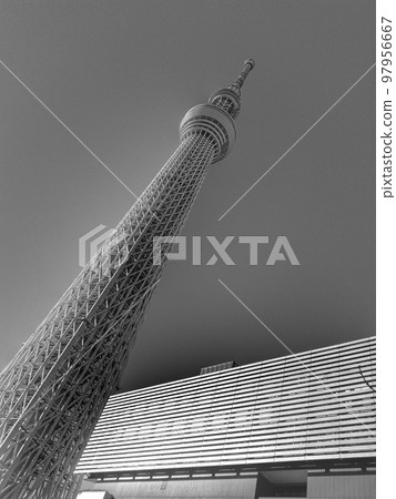 天空樹 天空樹 97956667