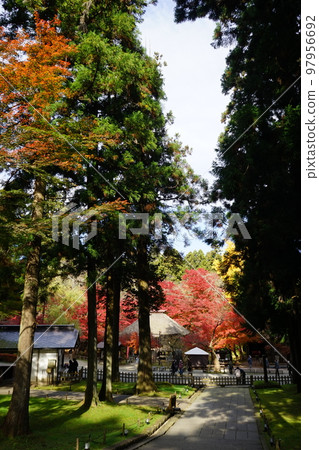 世界遺產觀山中尊寺 世界遺產觀山中尊寺 97956692