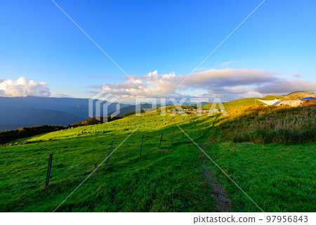 四國岩溶Himedsurudaira露營地的夜景 四國岩溶Himedsurudaira露營地的夜景 97956843