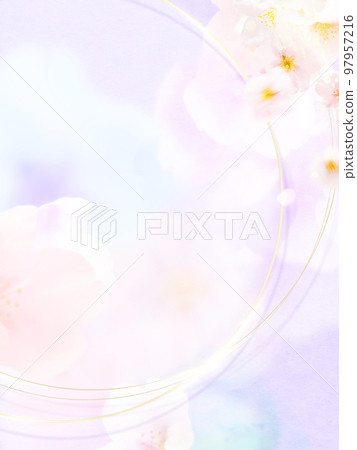 bright cherry blossom background 97957216