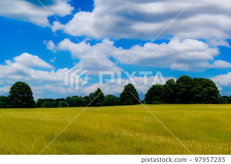 Prairie and the horizon Prairie and the horizon 97957285