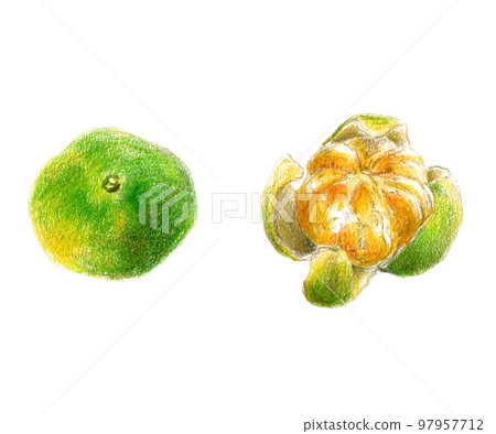 藍色的橘子 藍色的橘子 97957712