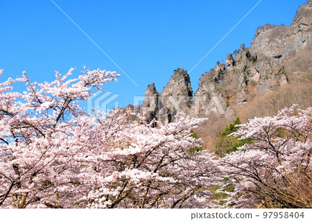Myokoyama Sakura沒有佐藤 Myokoyama Sakura沒有佐藤 97958404