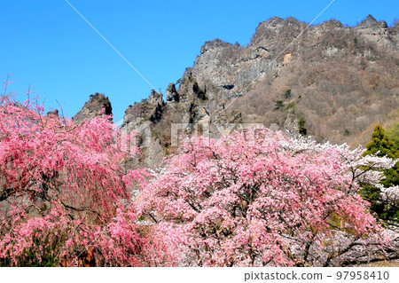 Myokoyama Sakura no Sato 97958410