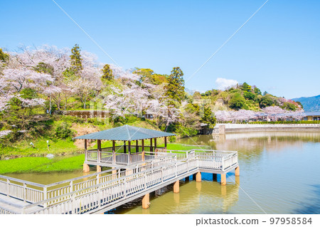 Shimizu Funakoshi Tsutsumi Park (Spring) Shimizu Funakoshi Tsutsumi Park (Spring) 97958584