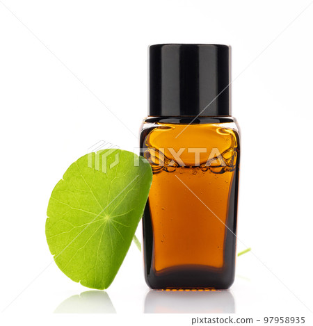 Close up centella asiatica extract in amber bottle with centella asiatica leaves isolated on white background. 97958935