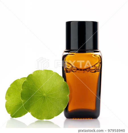 Close up centella asiatica extract in amber bottle with centella asiatica leaves isolated on white background. Close up centella asiatica extract in amber bottle with centella asiatica leaves isolated on white background. 97958940