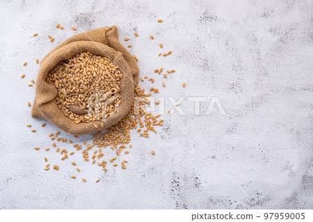 Wheat ears and wheat grains set up on white concrete background. Wheat ears and wheat grains set up on white concrete background. 97959005