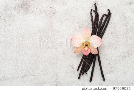 Dried vanilla sticks and orchid flower set up on white concrete background. Dried vanilla sticks and orchid flower set up on white concrete background. 97959025