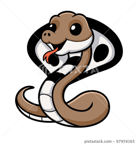Cute indian king cobra cartoon 97959165