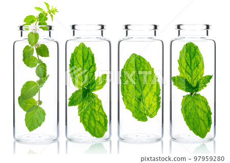 Bottles of essential oil with mint isolated on white background. Bottles of essential oil with mint isolated on white background. 97959280