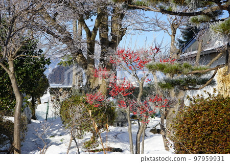A cold winter morning A cold winter morning 97959931
