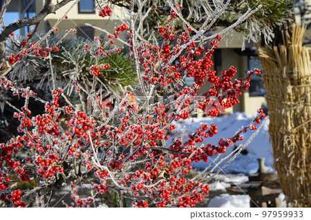 一個寒冷的冬日早晨 97959933