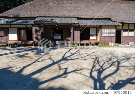 Thatched roof and tree shadow 97960013